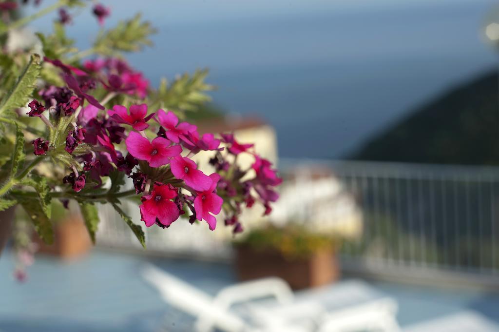 Bed and Breakfast Le Terrazze Di Cristina Vietri Exteriér fotografie