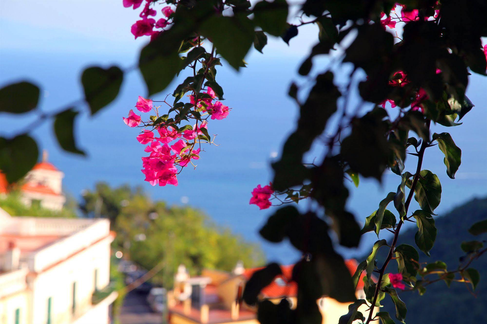 Bed and Breakfast Le Terrazze Di Cristina Vietri Exteriér fotografie